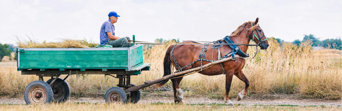 Hitch Your Wagon To A Star: Docusign IAM Channels Intelligent Agreement Management Value